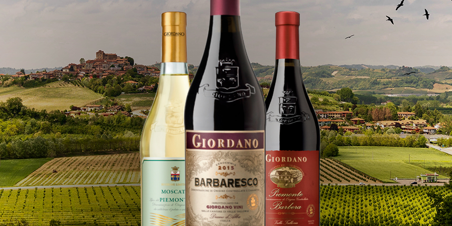 À la découverte des vins du Piémont À la découverte des vins du Piémont