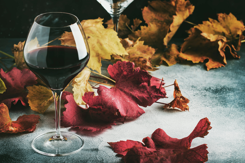 Les vins de l'automne : leurs caractéristiques et comment les choisir Les vins de l'automne : leurs caractéristiques et comment les choisir